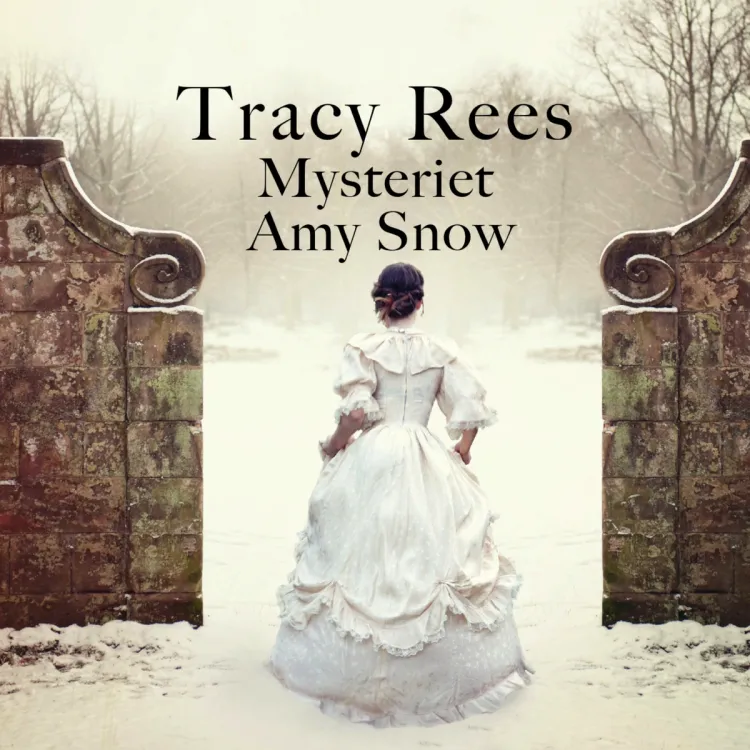 Omslag Mysteriet Amy Snow av Tracy Rees (Lydbok)