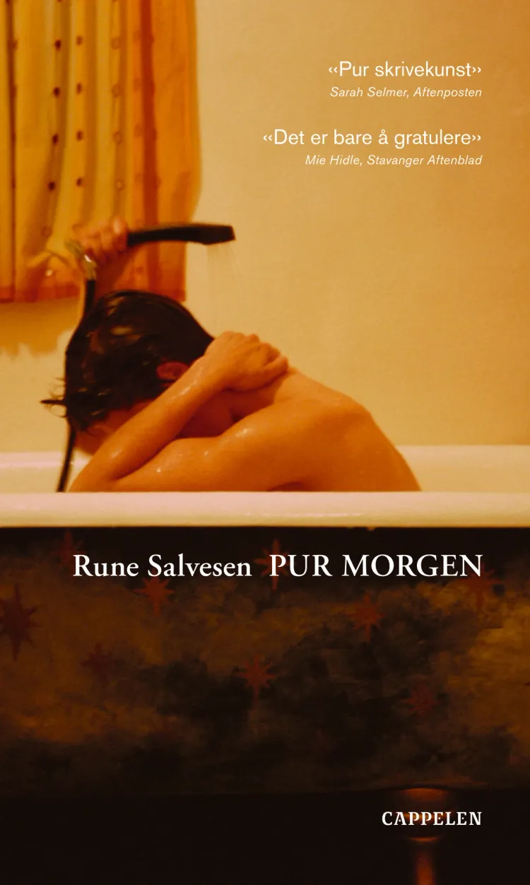Omslag Pur morgen av Rune Salvesen (Heftet)