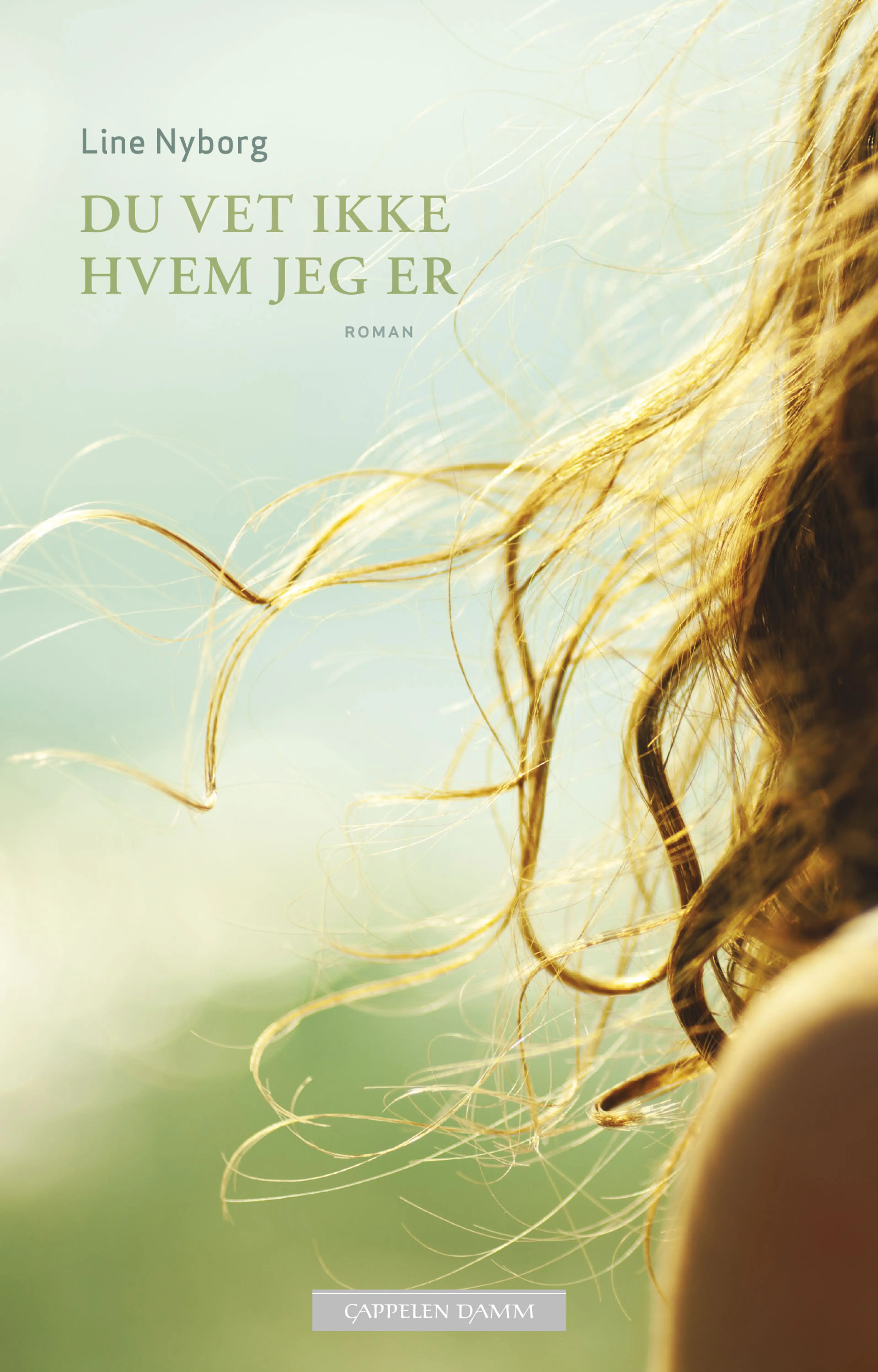 Omslag Du vet ikke hvem jeg er av Line Nyborg (Ebok)