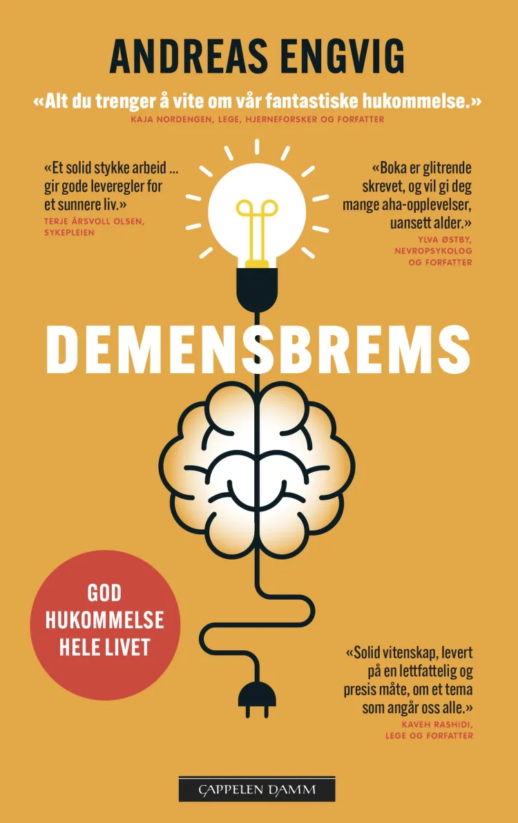 Omslag Demensbrems av Andreas Engvig (Ebok)