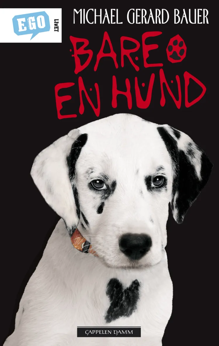 Omslag Bare en hund av Michael Gerard Bauer (Innbundet)