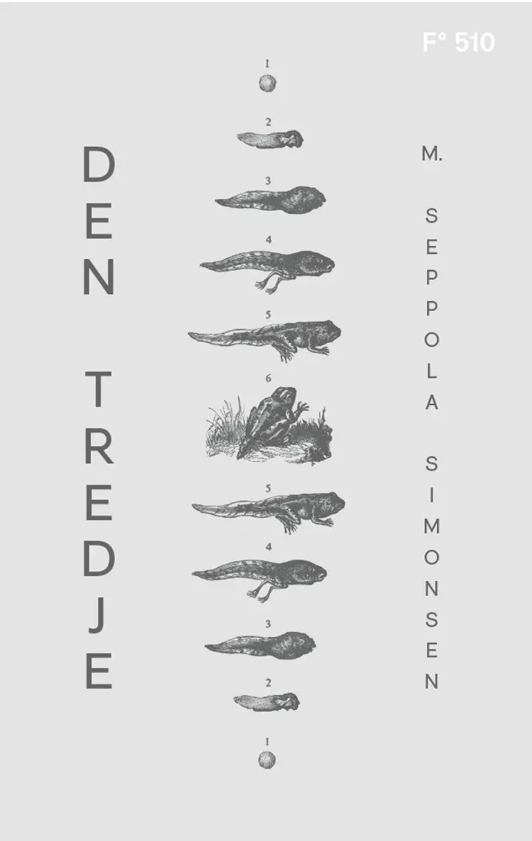 Omslag Den tredje av M. Seppola Simonsen (Ebok)