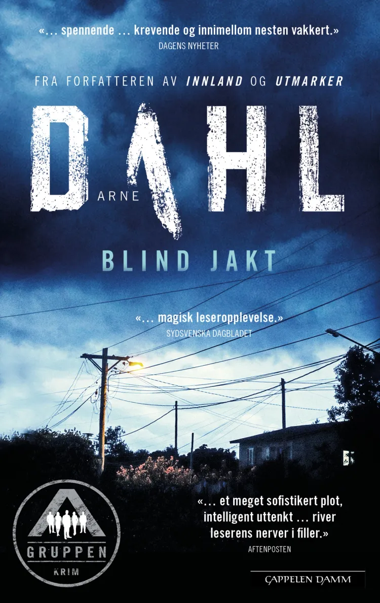 Omslag Blind jakt av Arne Dahl (Ebok)