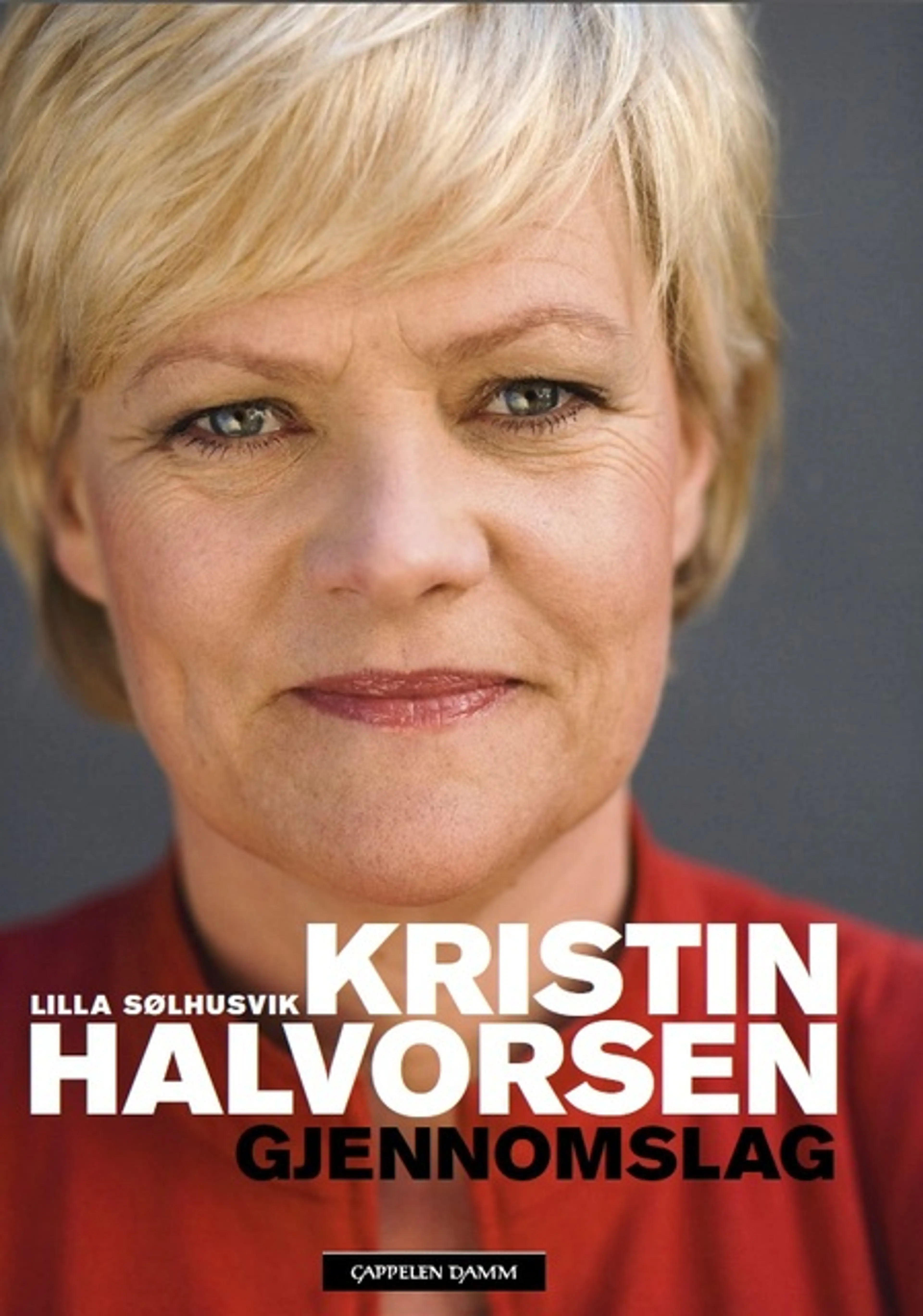Omslag Kristin Halvorsen av Lilla Sølhusvik i samarbeid med Kristin Halvorsen (Innbundet)