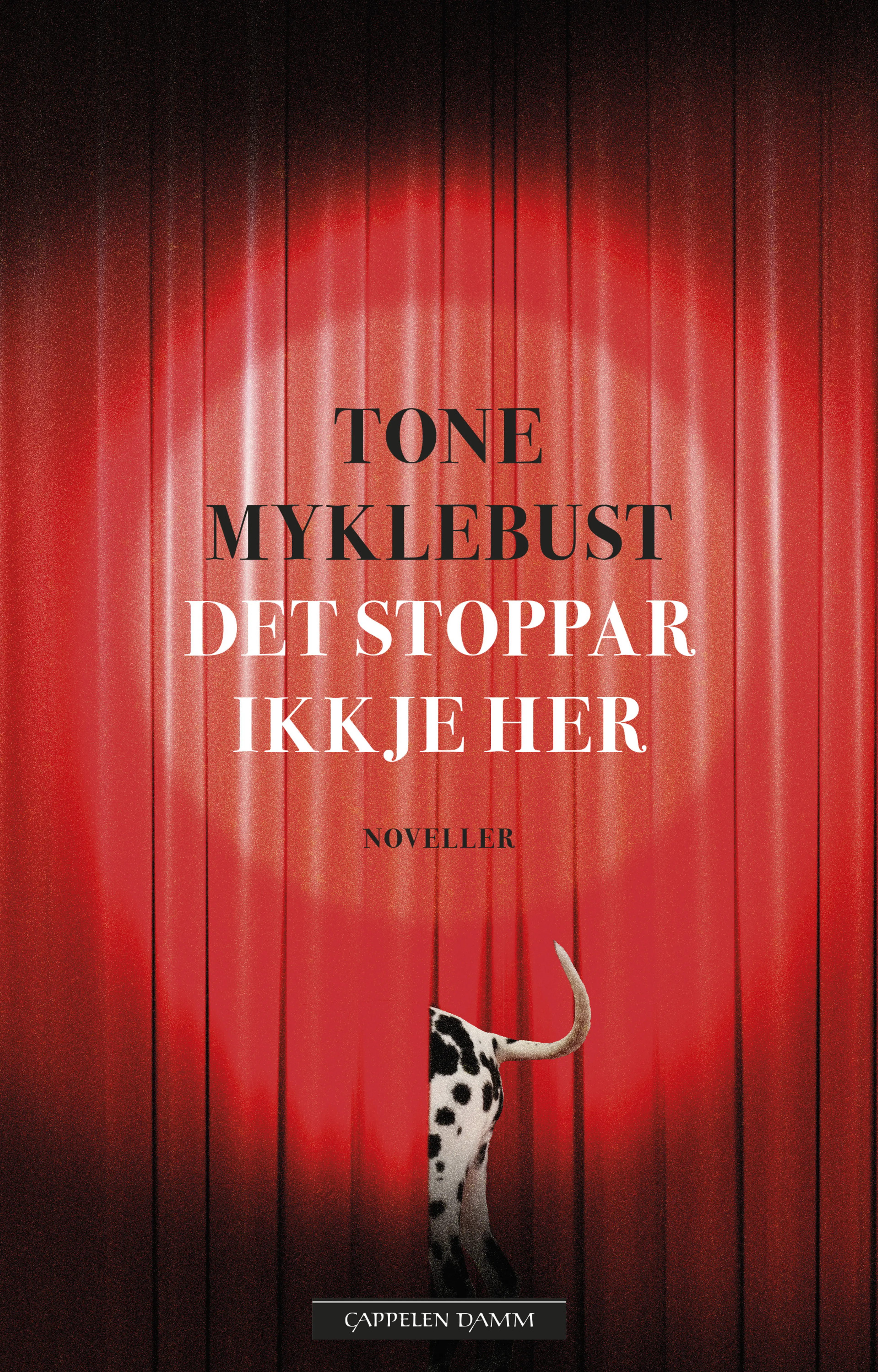 Omslag Det stoppar ikkje her av Tone Myklebust (Innbundet)