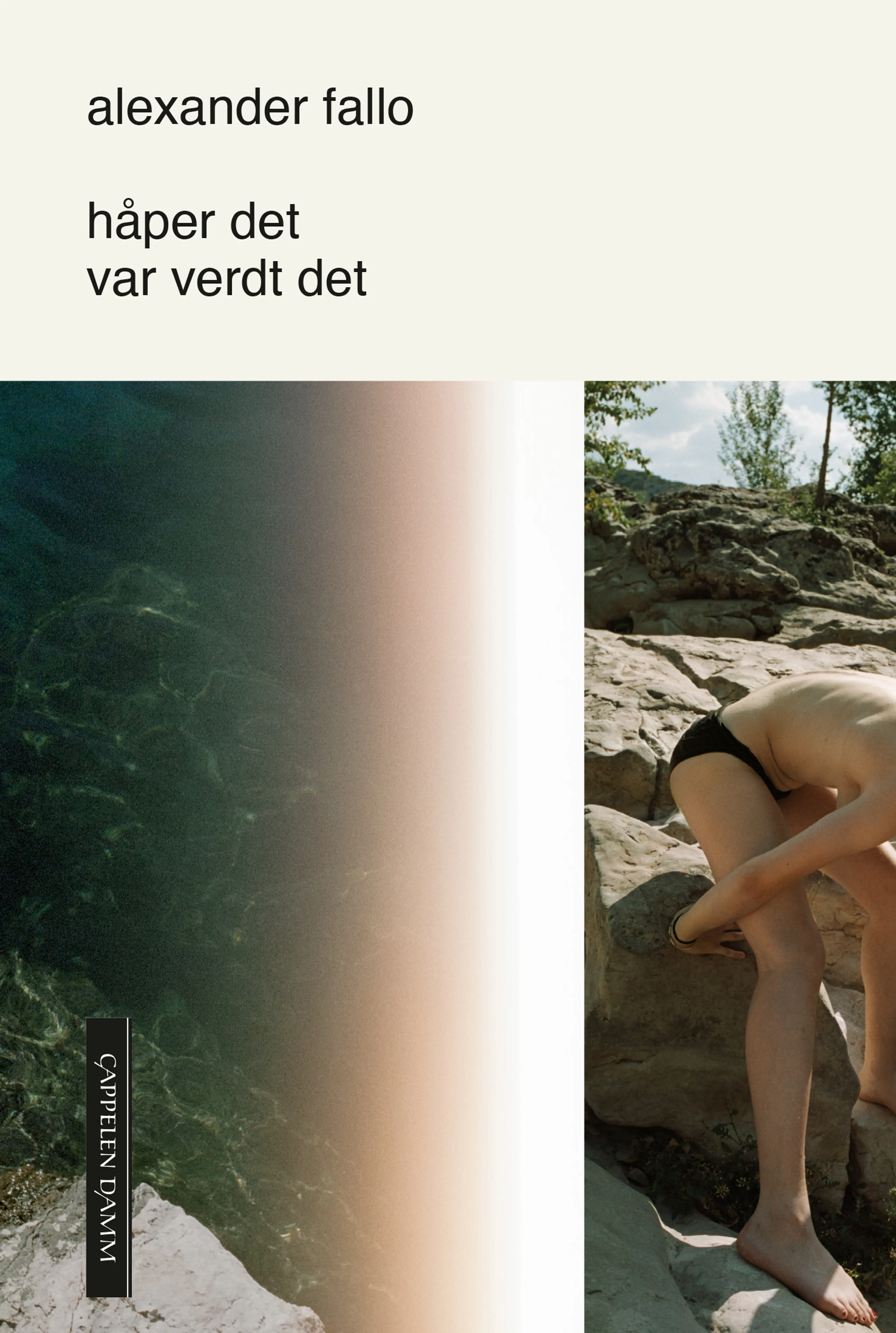 Omslag håper det var verdt det av Alexander Fallo (Ebok)