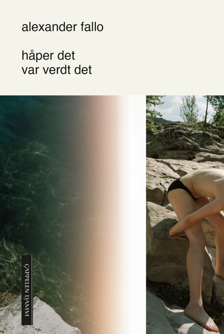 Omslag håper det var verdt det av Alexander Fallo (Ebok)