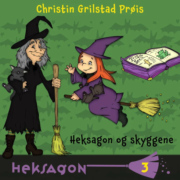 Omslag Heksagon og skyggene av Christin Grilstad Prøis (Lydbok)