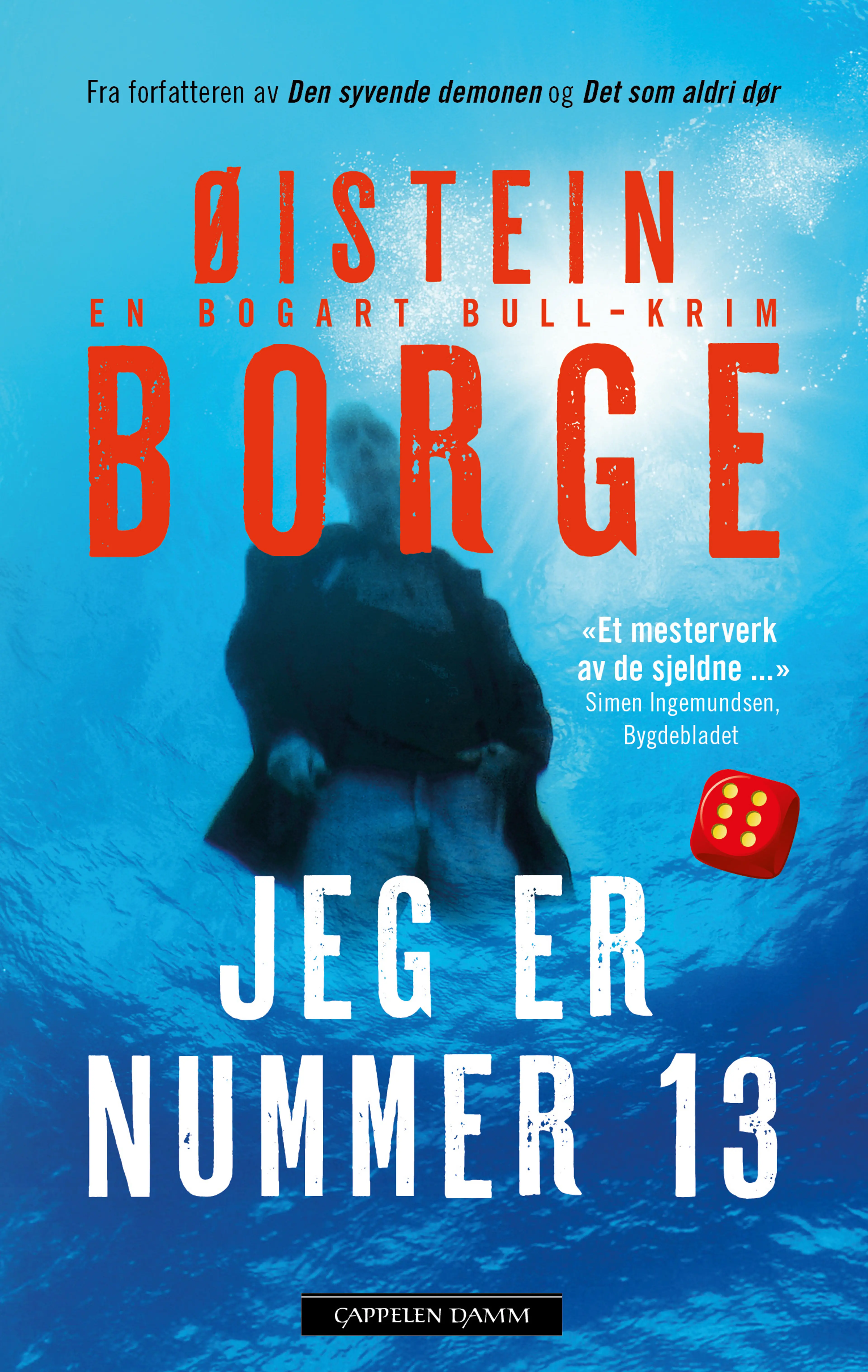 Omslag Jeg er nummer 13 av Øistein Borge (Heftet)