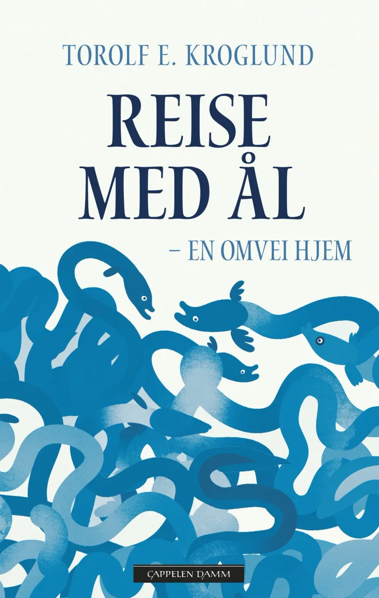 Omslag Reise med ål av Torolf Kroglund (Ebok)