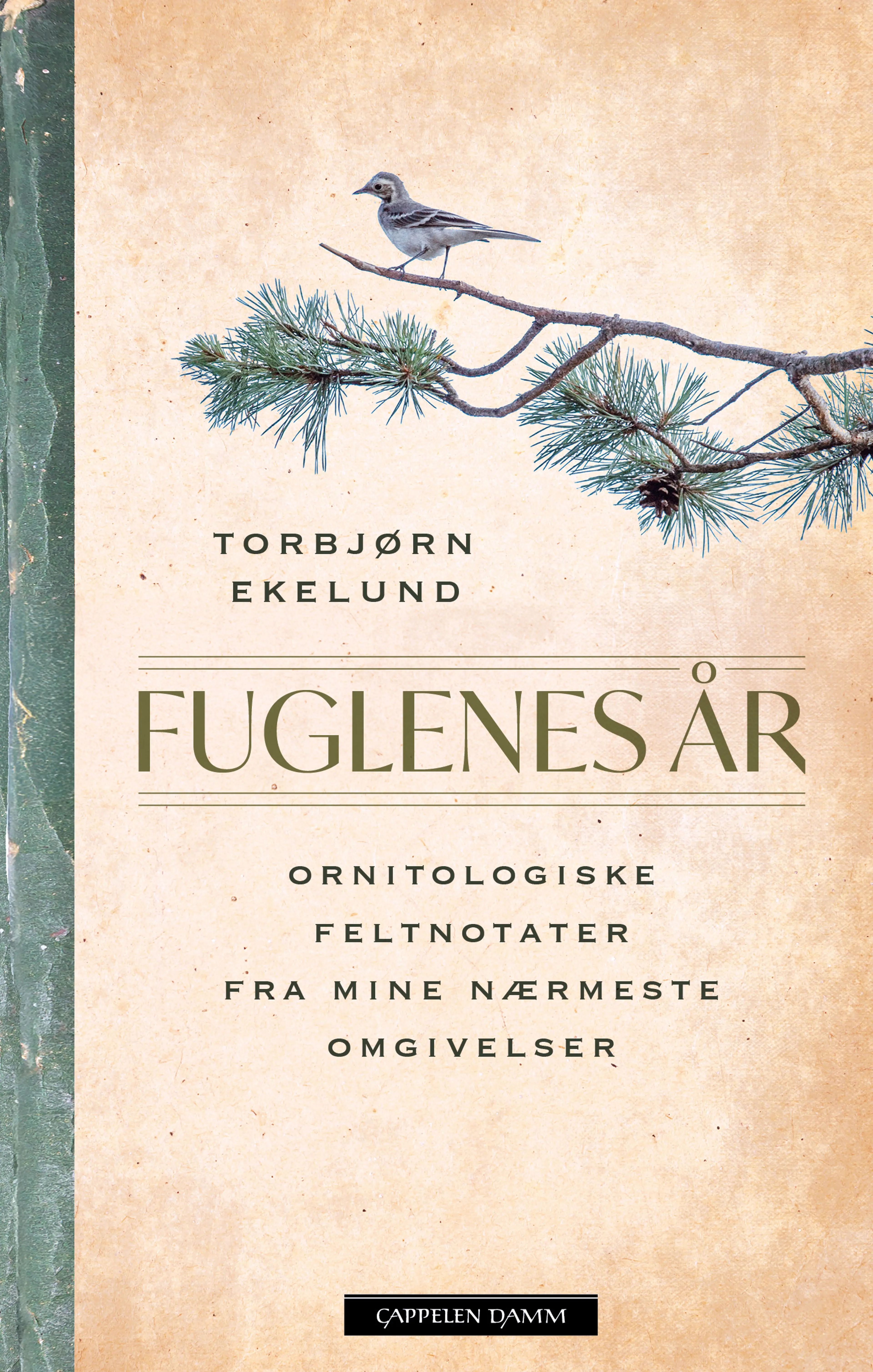 Omslag Fuglenes år av Torbjørn Ekelund (Innbundet)