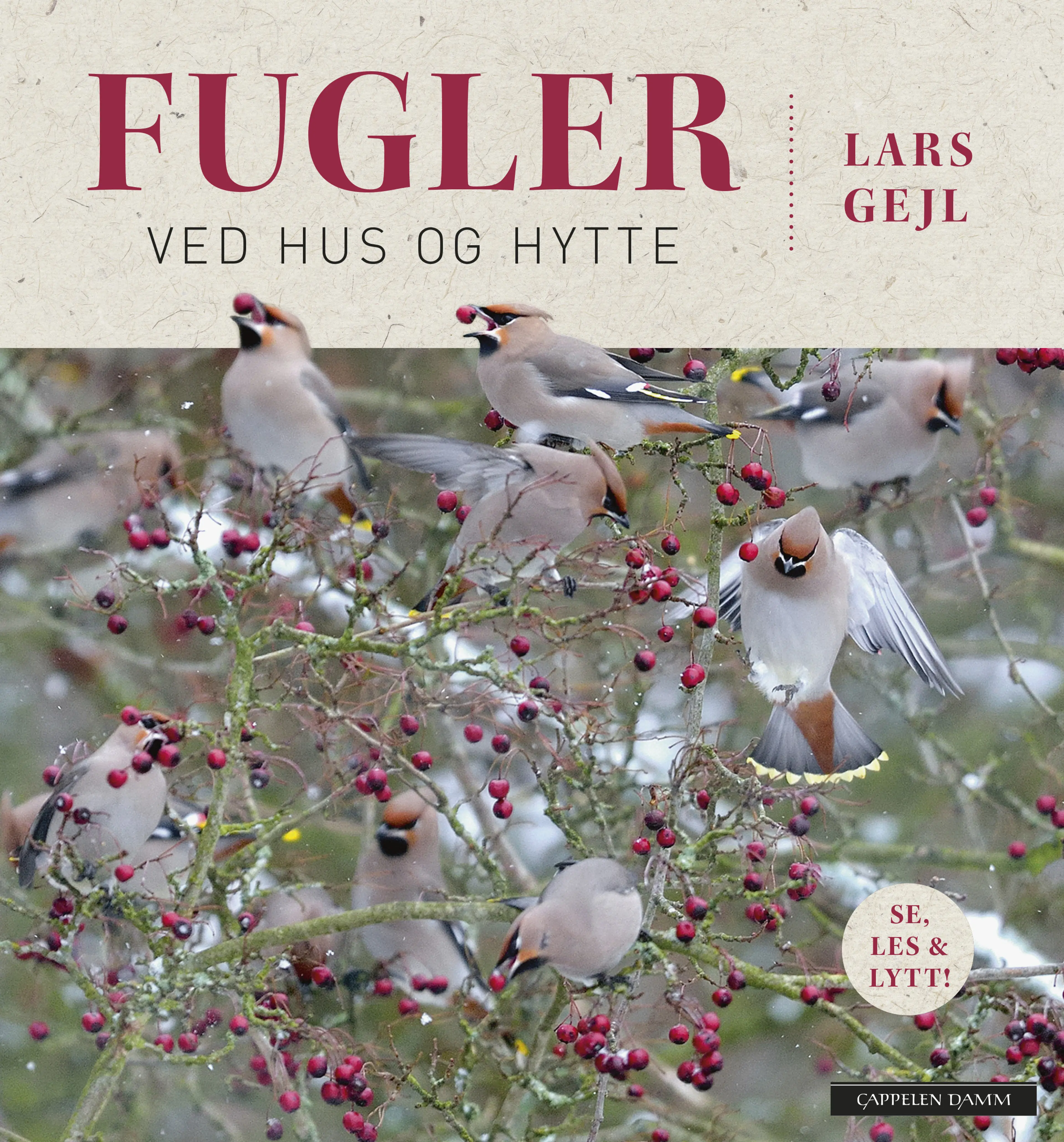 Omslag Fugler ved hus og hytte av Lars  Gejl (Innbundet)