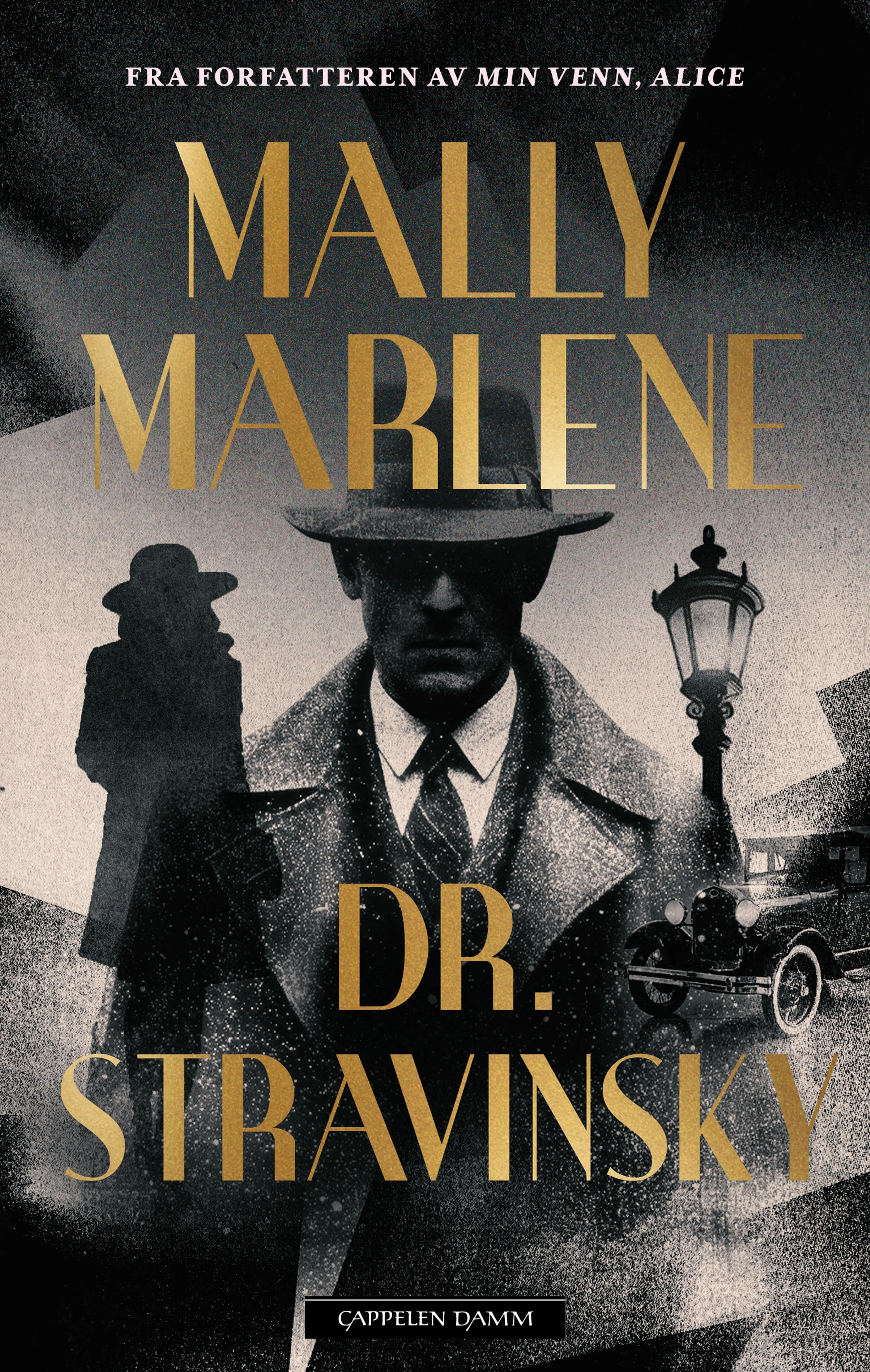 Omslag Dr. Stravinsky av Mally Marlene (Ebok)