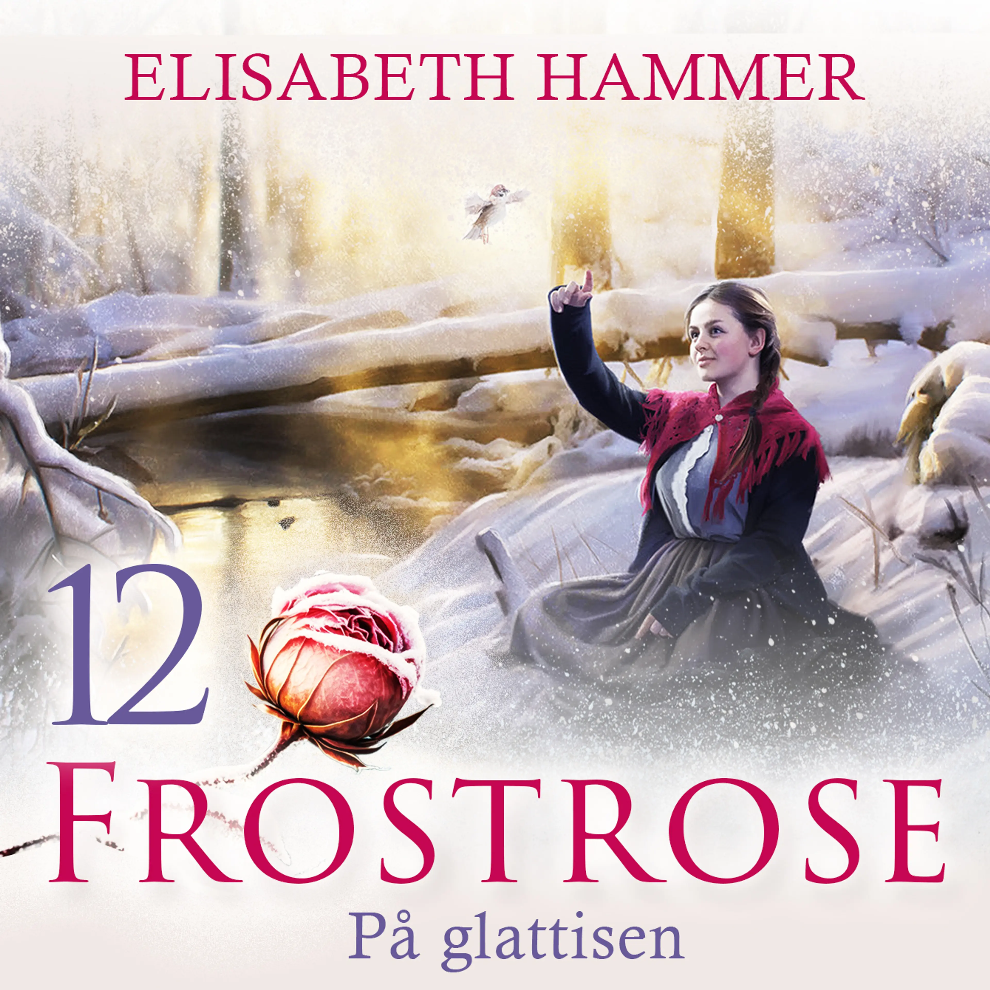 Omslag På glattisen av Elisabeth Hammer (Lydbok)