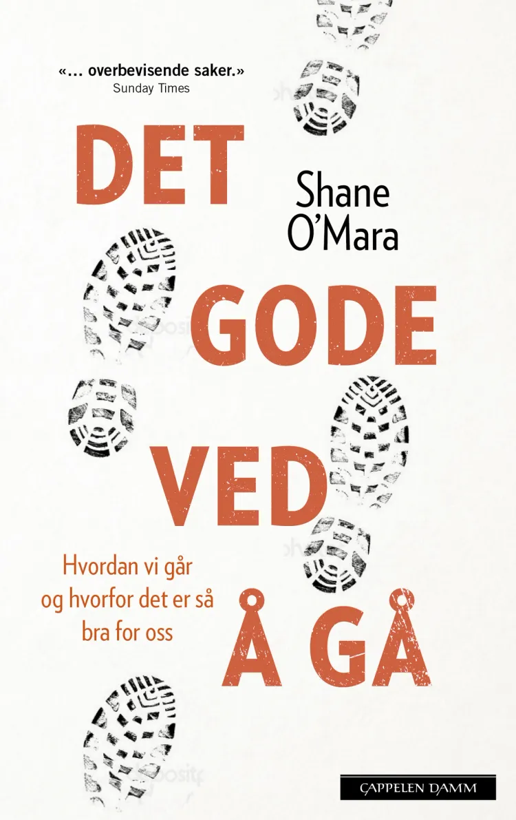 Omslag Det gode ved å gå av Shane O'Mara (Ebok)