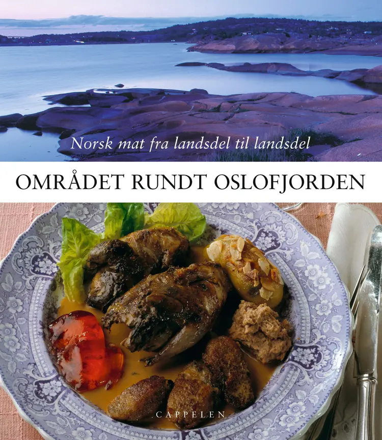 Omslag Området rundt Oslofjorden (Innbundet)