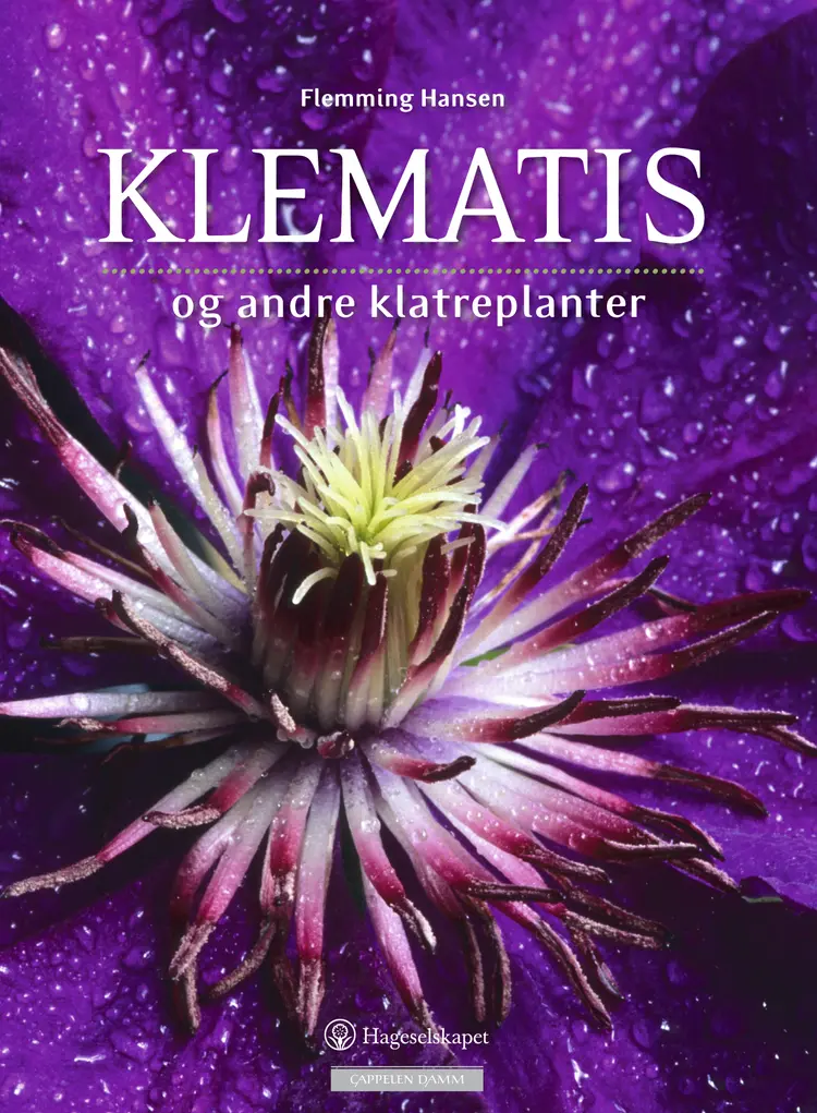 Omslag Klematis og andre klatreplanter av Flemming Hansen (Innbundet)