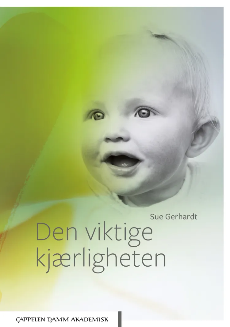 Omslag Den viktige kjærligheten av Sue Gerhardt (Heftet)