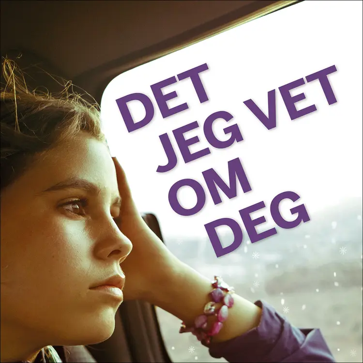 Omslag Det jeg vet om deg av Meg Rosoff (Lydbok)