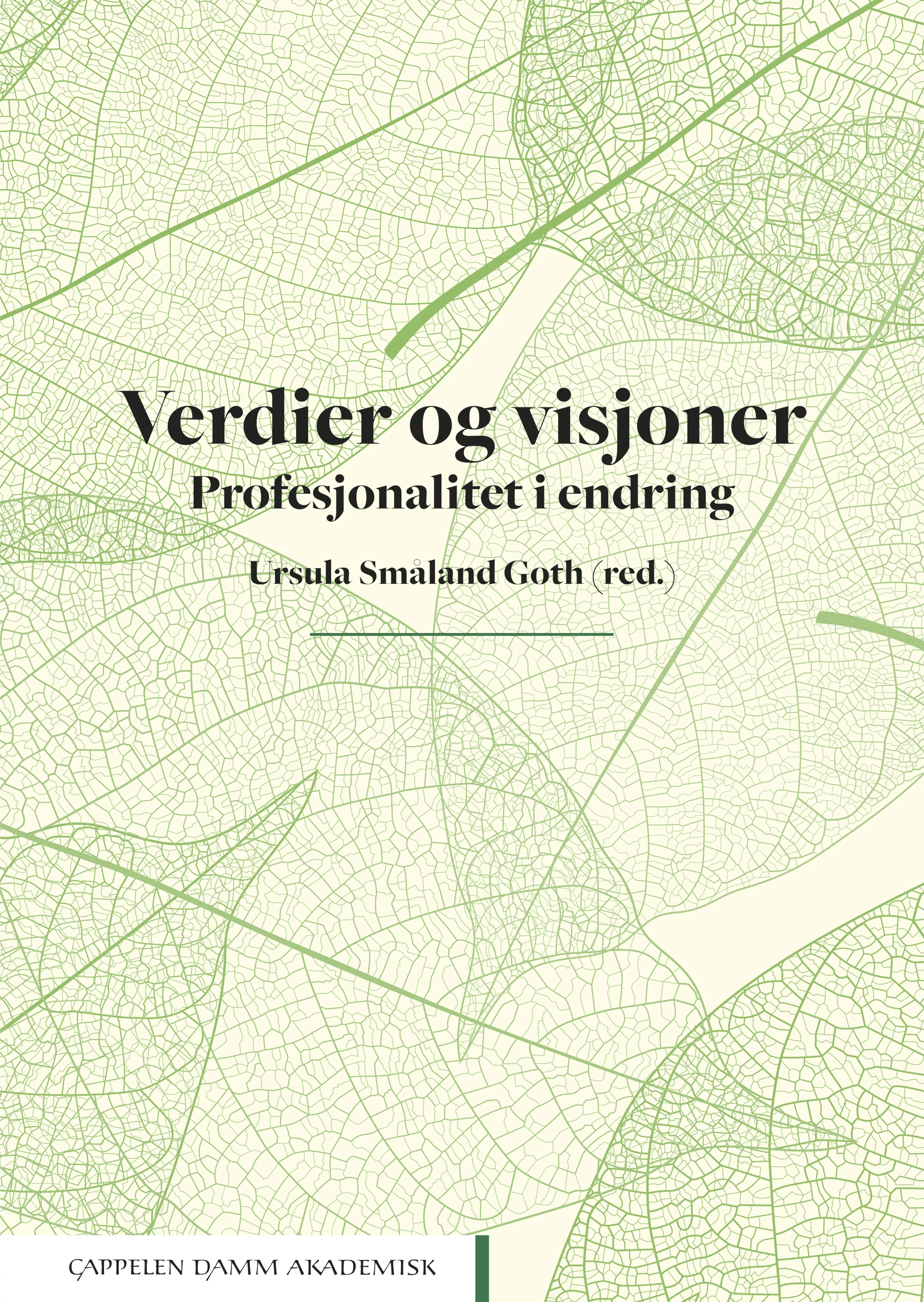 Omslag Verdier og visjoner av Ursula Småland Goth (red.) (Heftet)