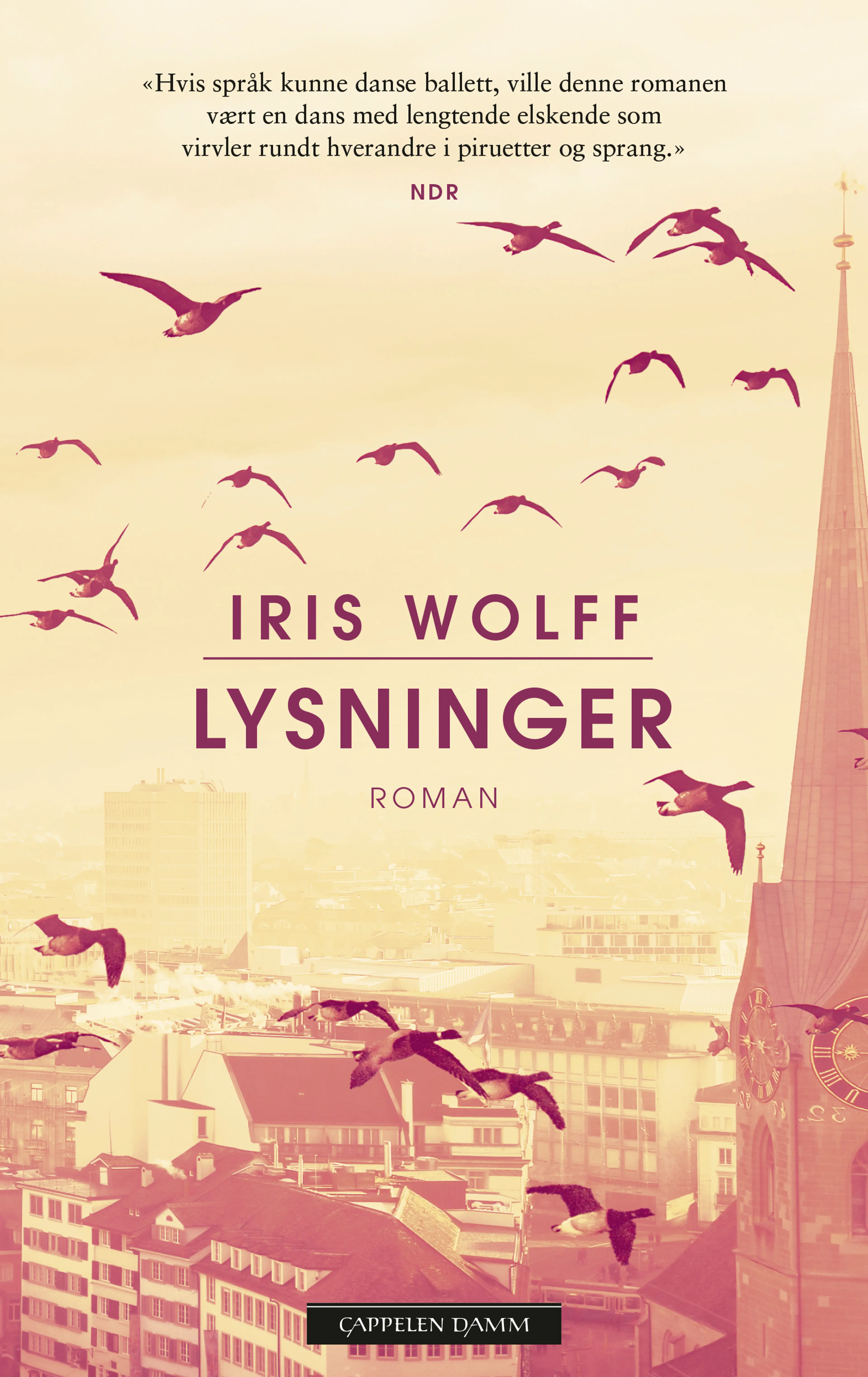 Omslag Lysninger av Iris Wolff (Innbundet)