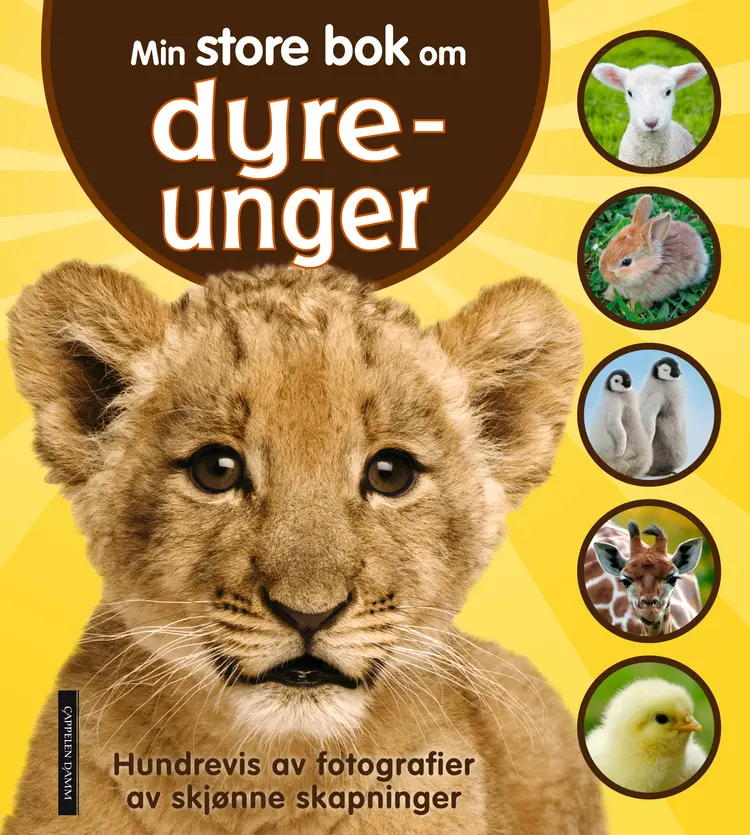 Omslag Min store bok om dyreunger (Innbundet)