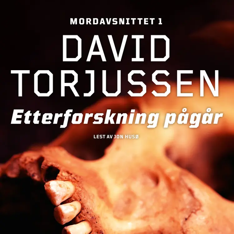 Omslag Etterforskning pågår av David Torjussen (Nedlastbar lydbok)