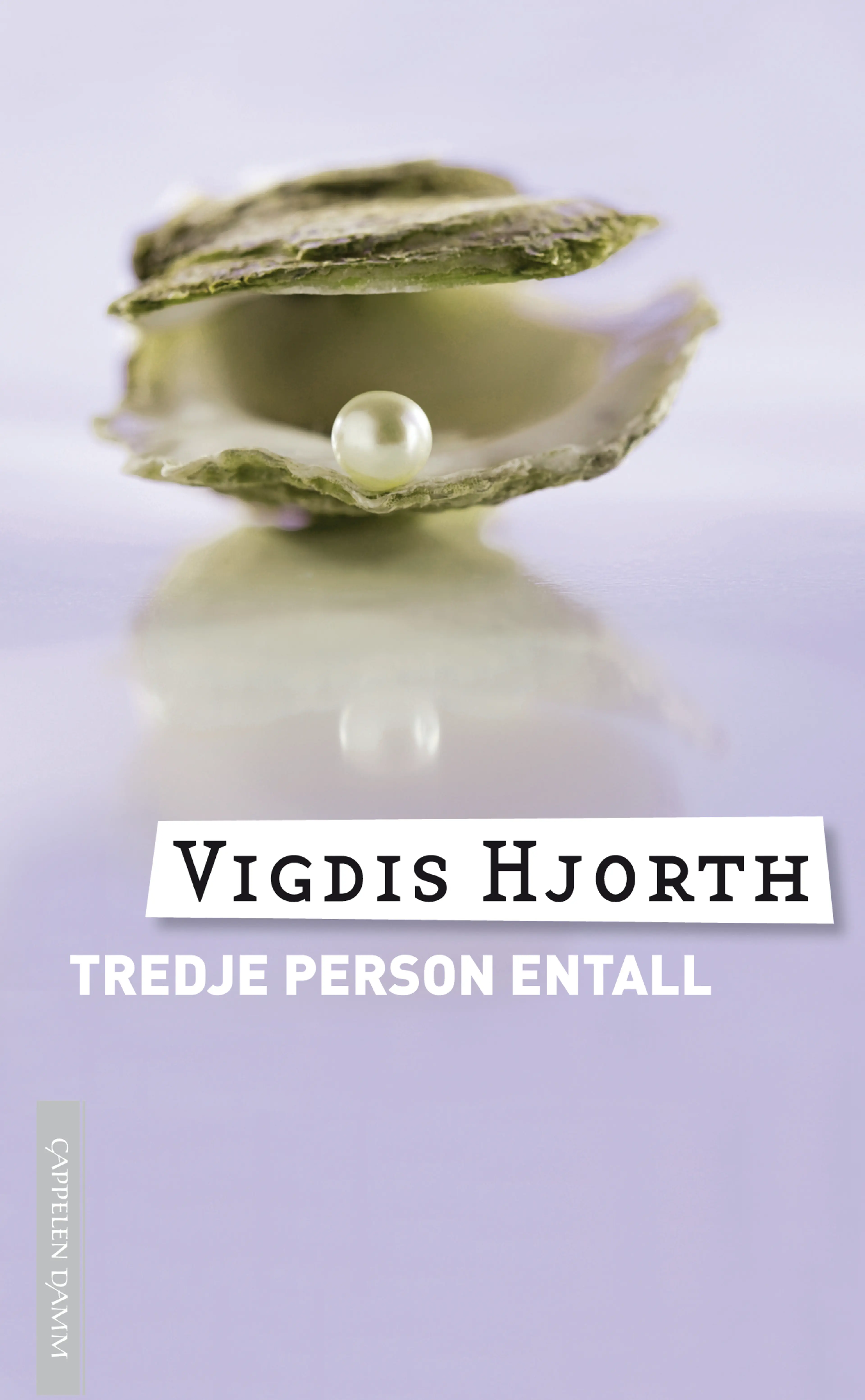 Omslag Tredje person entall av Vigdis Hjorth (Ebok)