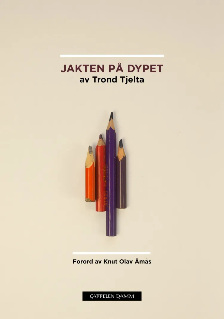 Omslag Jakten på dypet av Trond Tjelta (Ebok)
