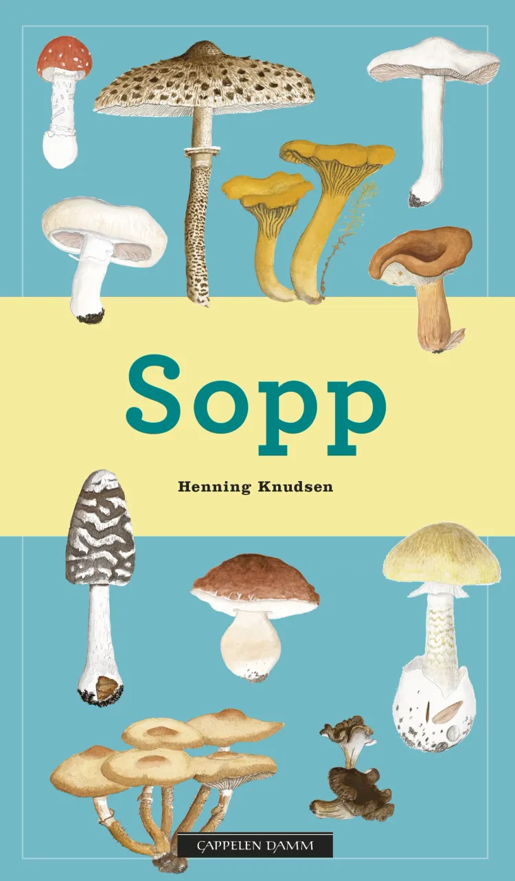 Omslag Sopp av Henning Knudsen (Innbundet)