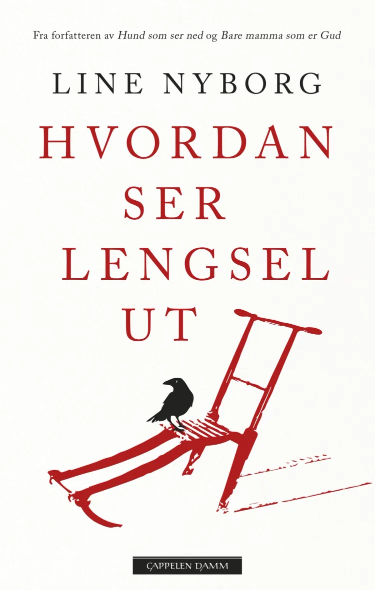 Omslag Hvordan ser lengsel ut av Line Nyborg (Innbundet)