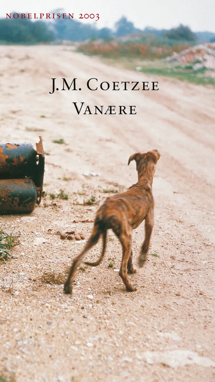 Omslag Vanære av J.M. Coetzee (Heftet)