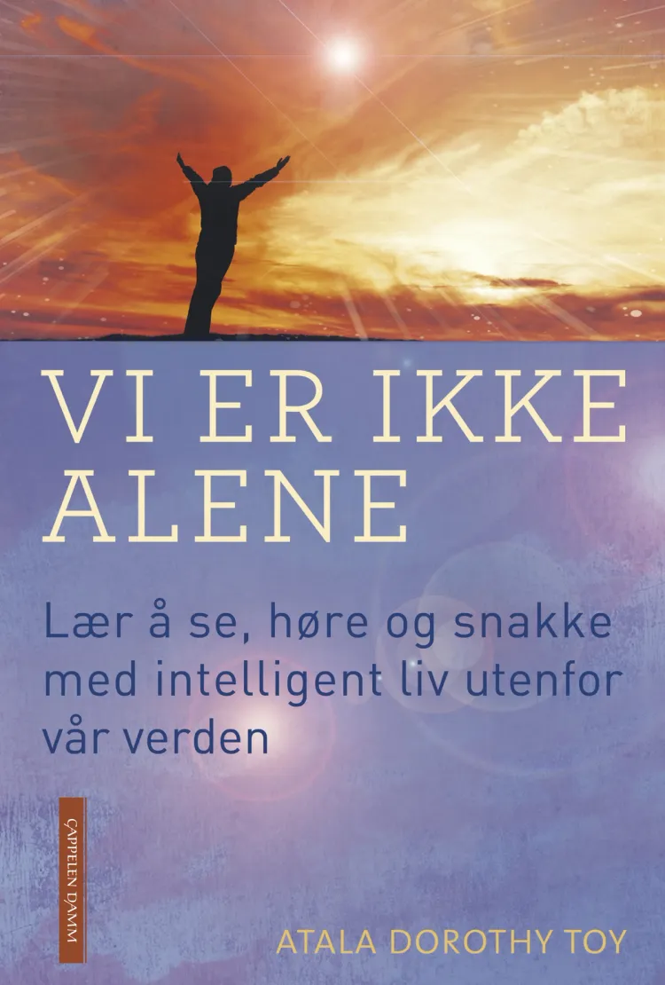 Omslag Vi er ikke alene av Atala Dorothy Toy (Innbundet)