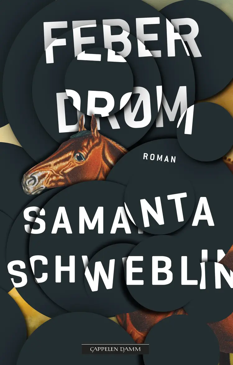 Omslag Feberdrøm av Samanta Schweblin (Innbundet)