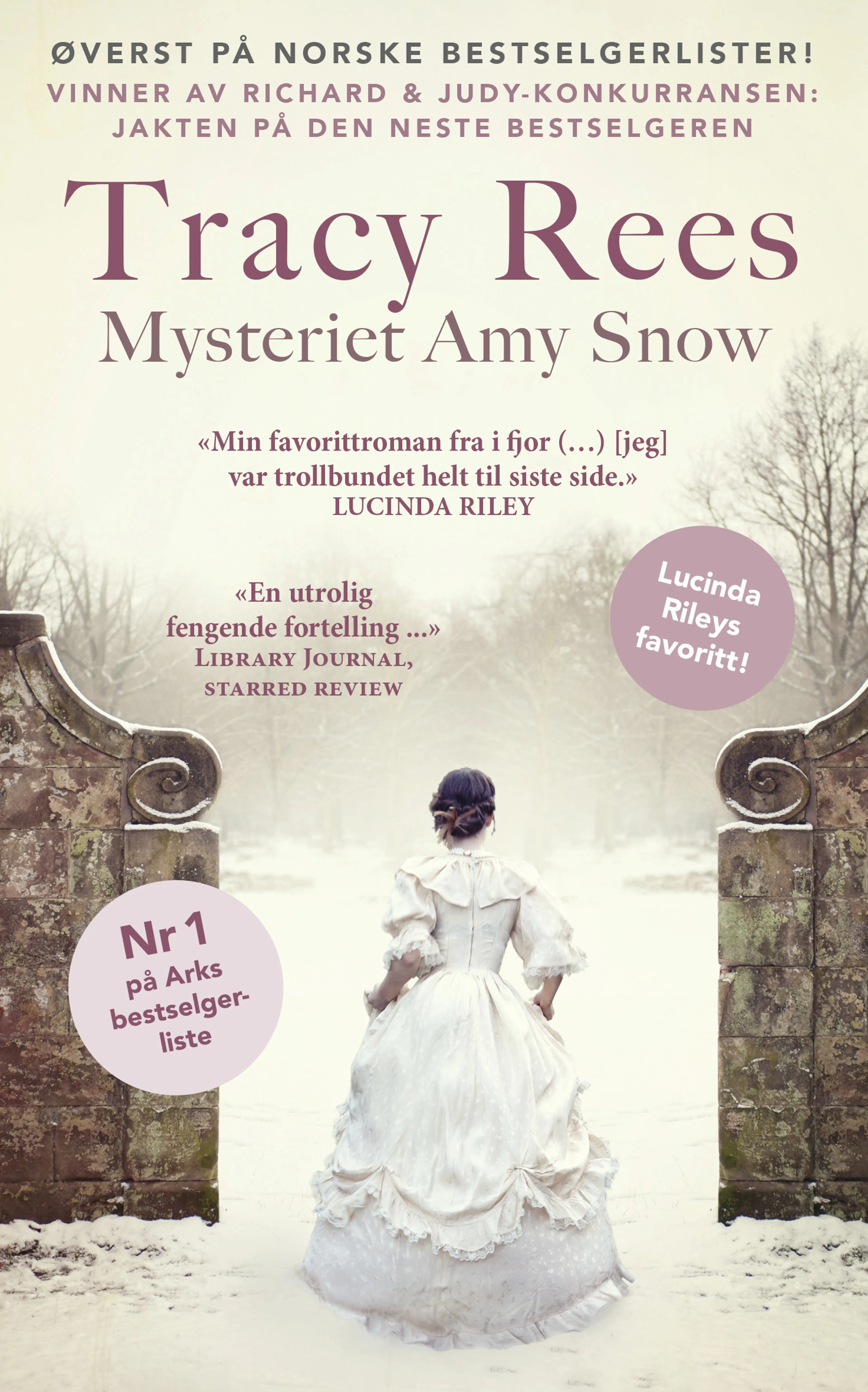 Omslag Mysteriet Amy Snow av Tracy Rees (Heftet)
