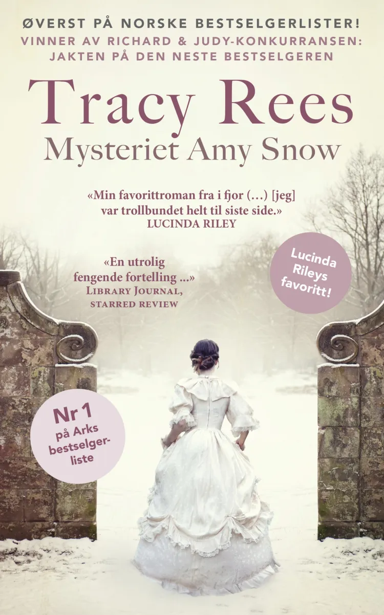 Omslag Mysteriet Amy Snow av Tracy Rees (Heftet)