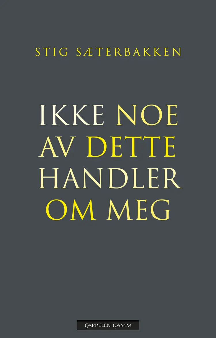 Omslag Ikke noe av dette handler om meg av Stig Sæterbakken (Ebok)