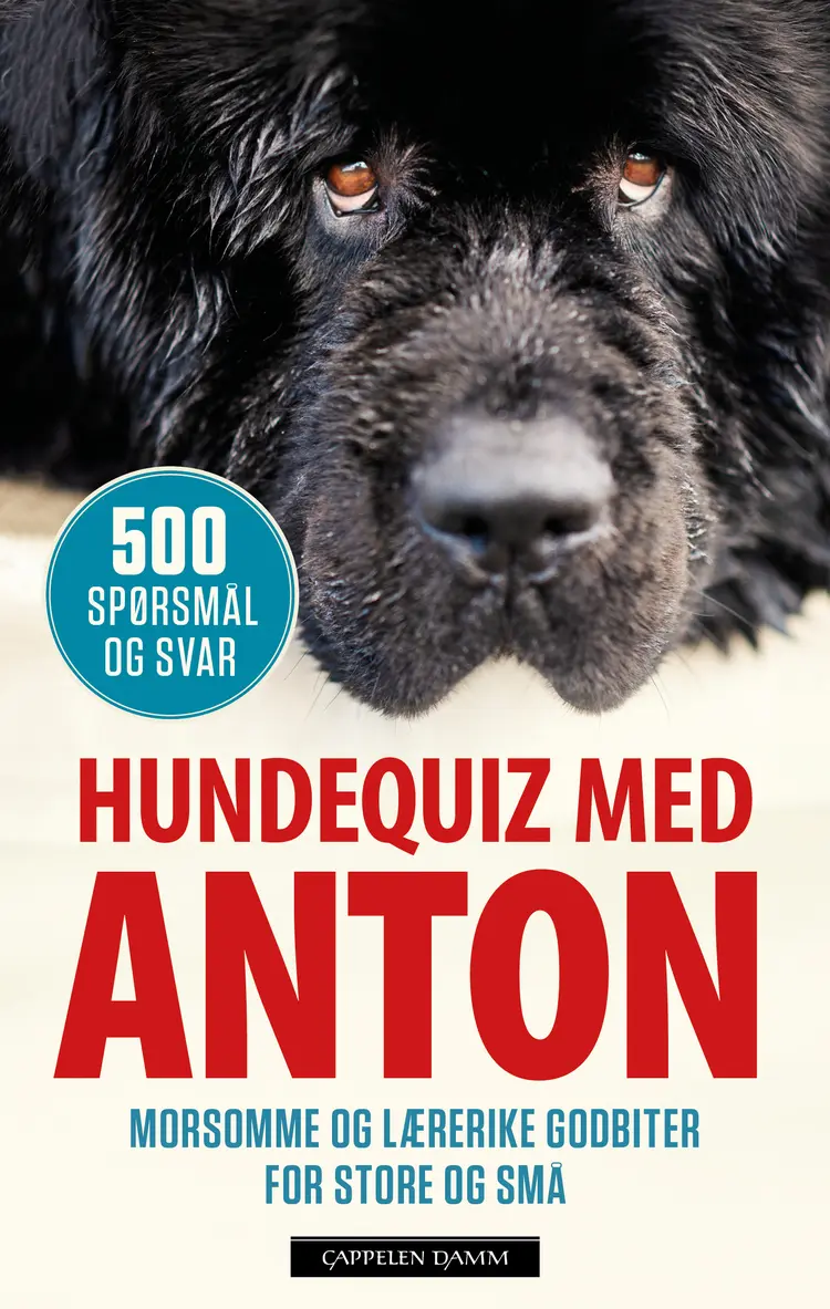 Omslag Hundequiz med Anton av Monica Sagen (Heftet)