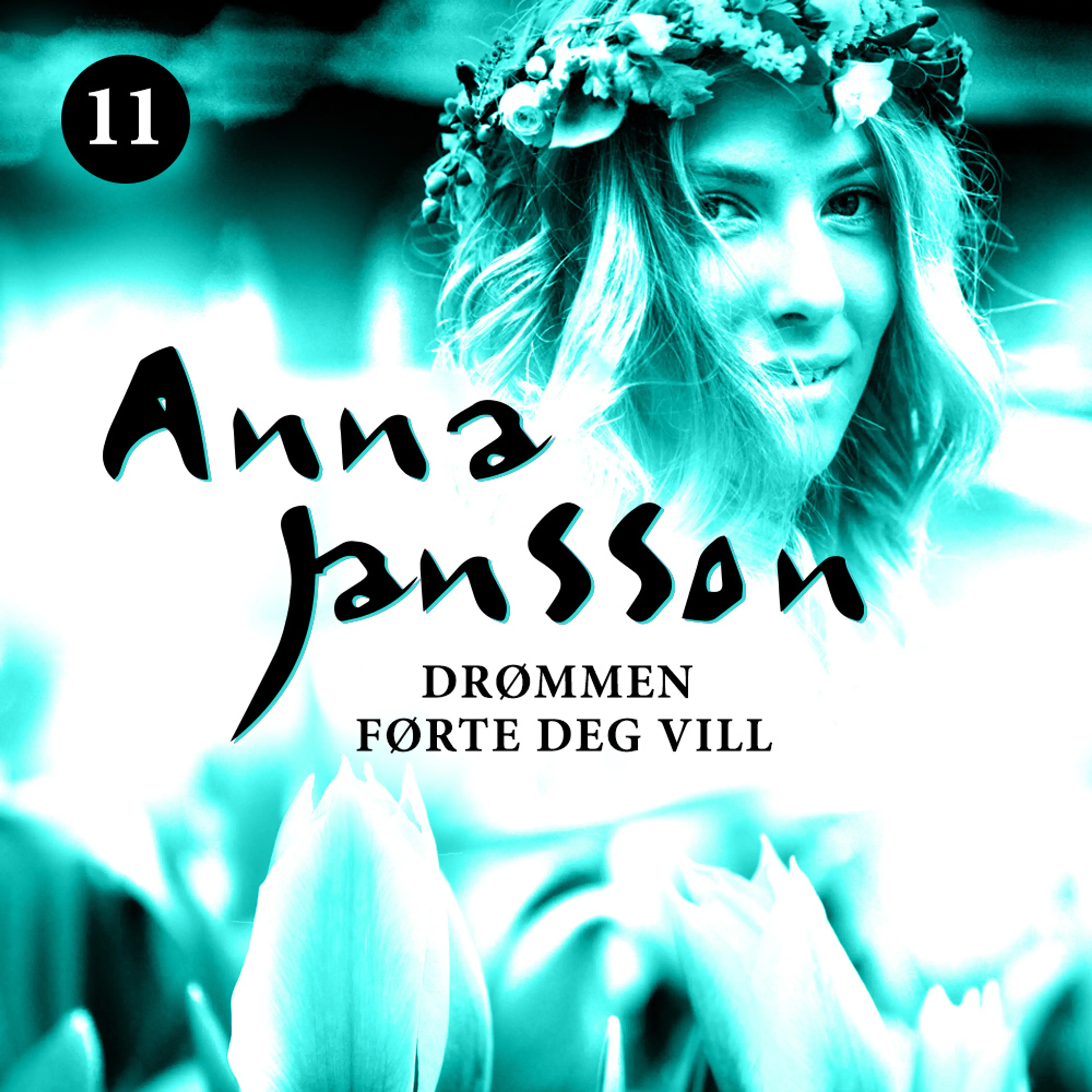 Omslag Drømmen førte deg vill av Anna Jansson (Lydbok)
