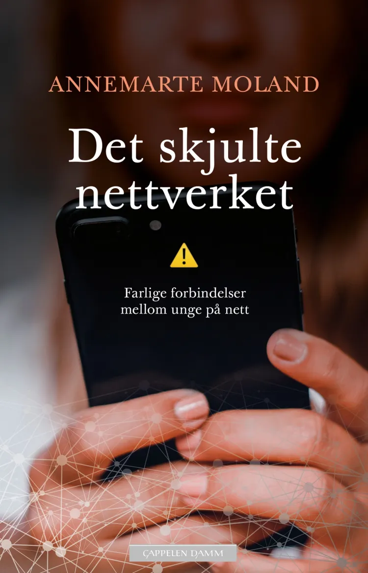 Omslag Det skjulte nettverket av Annemarte Moland (Ebok)