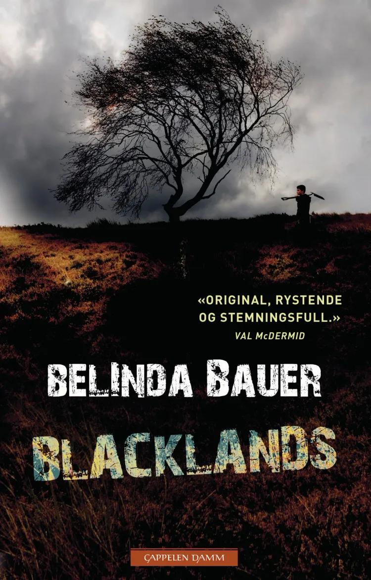 Omslag Blacklands av Belinda Bauer (Innbundet)