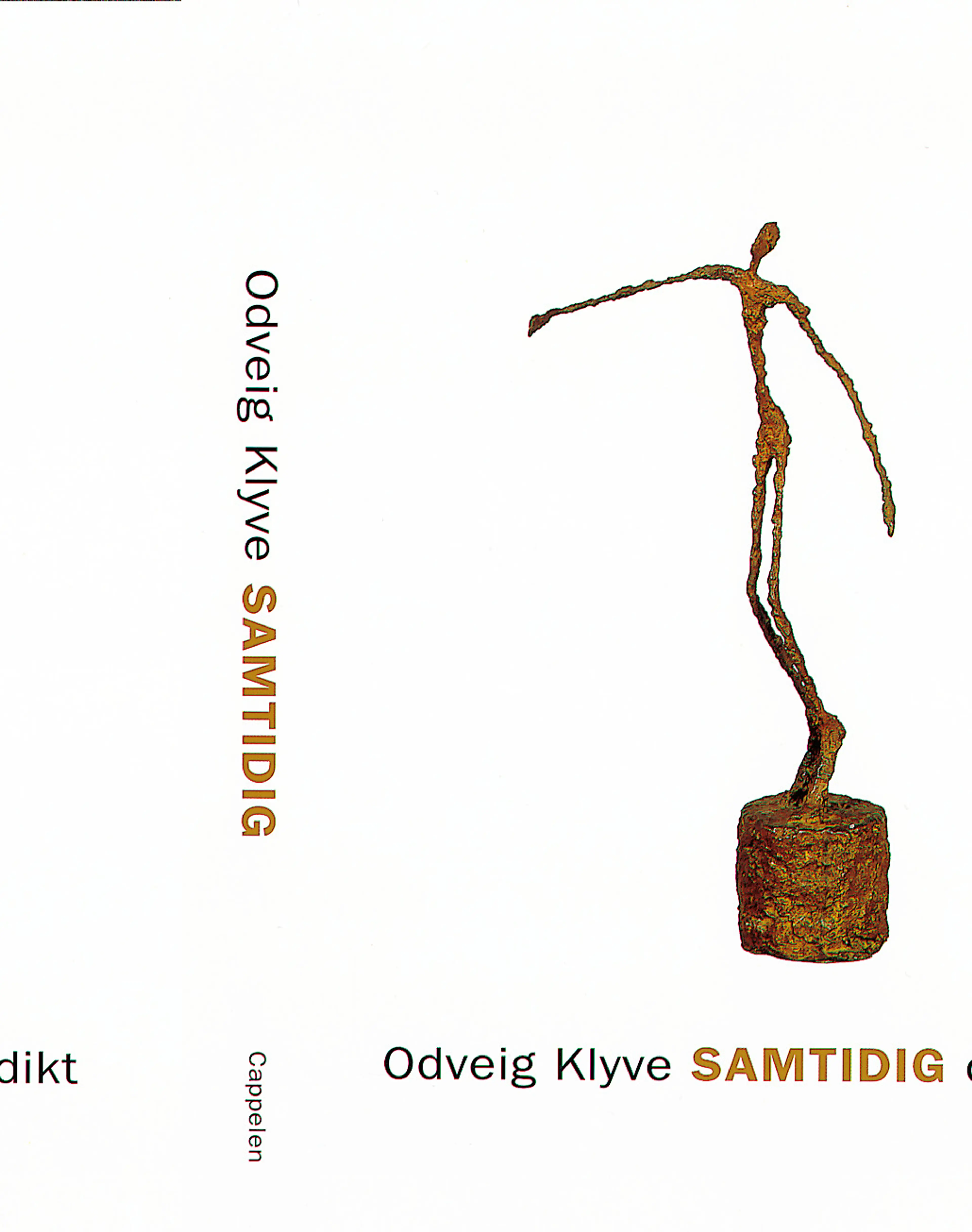 Omslag Samtidig av Odveig Klyve (Innbundet)