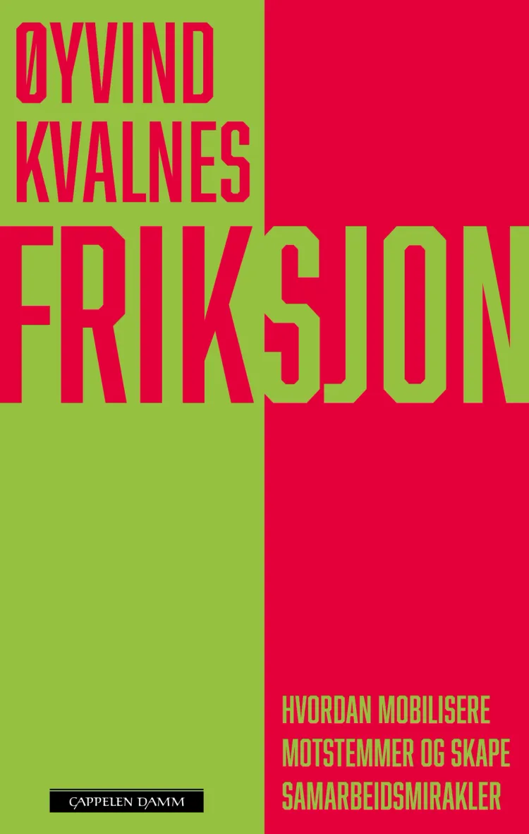 Omslag Friksjon av Øyvind Kvalnes (Ebok)