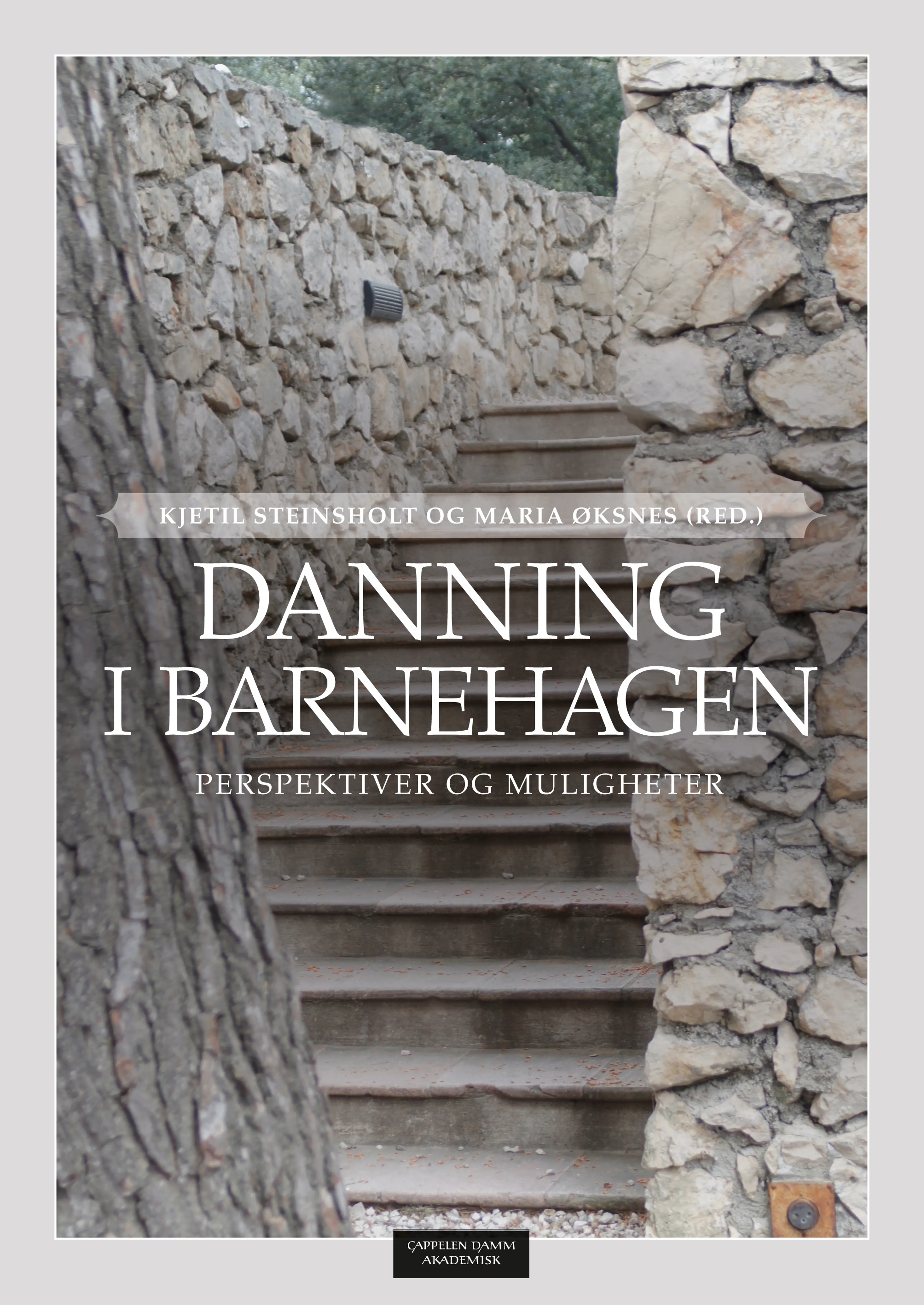 Omslag Danning i barnehagen av Kjetil Steinsholt og Maria Øksnes (red.) (Heftet)