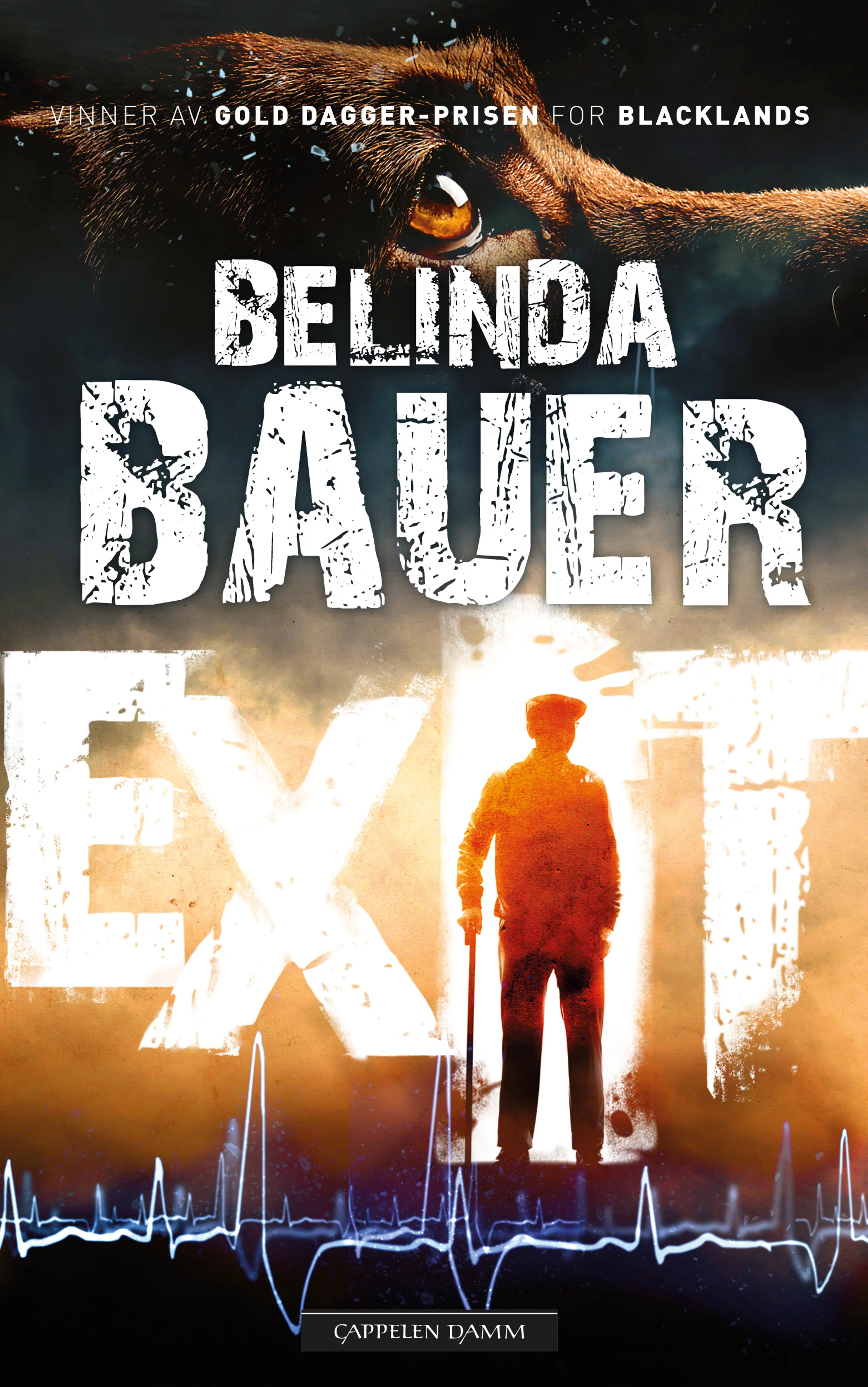 Omslag Exit av Belinda Bauer (Ebok)