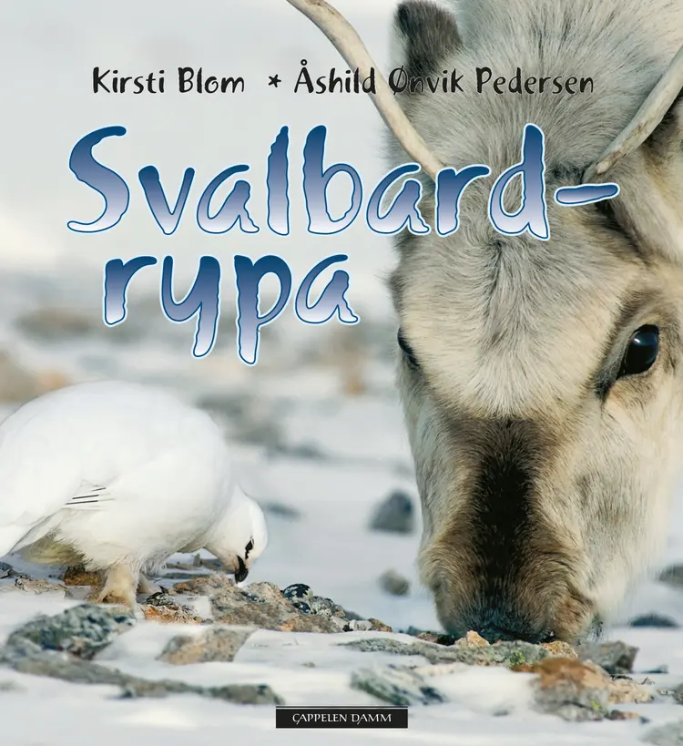 Omslag Svalbardrypa av Kirsti Blom og Åshild Ønvik Pedersen (Innbundet)