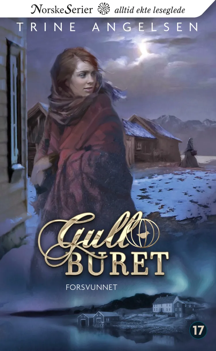 Omslag Forsvunnet av Trine Angelsen (Ebok)
