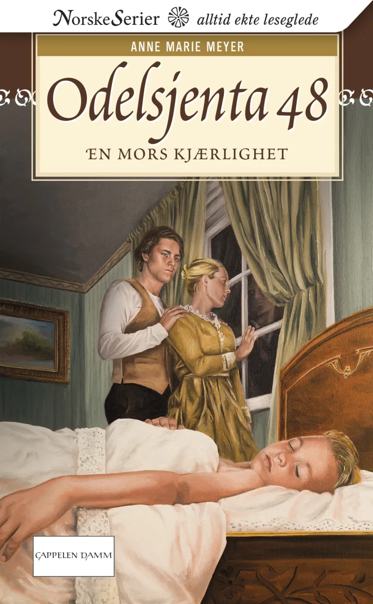 Omslag En mors kjærlighet av Anne Marie Løvlie Meyer (Heftet)