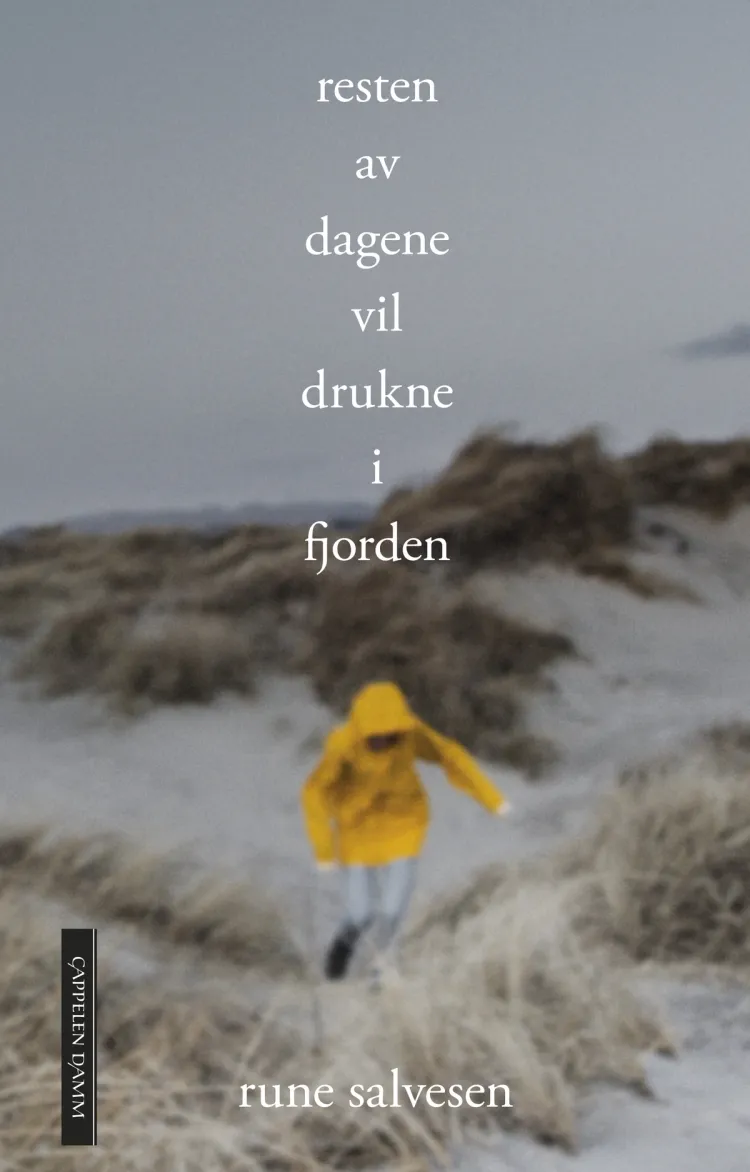 Omslag Resten av dagene vil drukne i fjorden av Rune Salvesen (Innbundet)