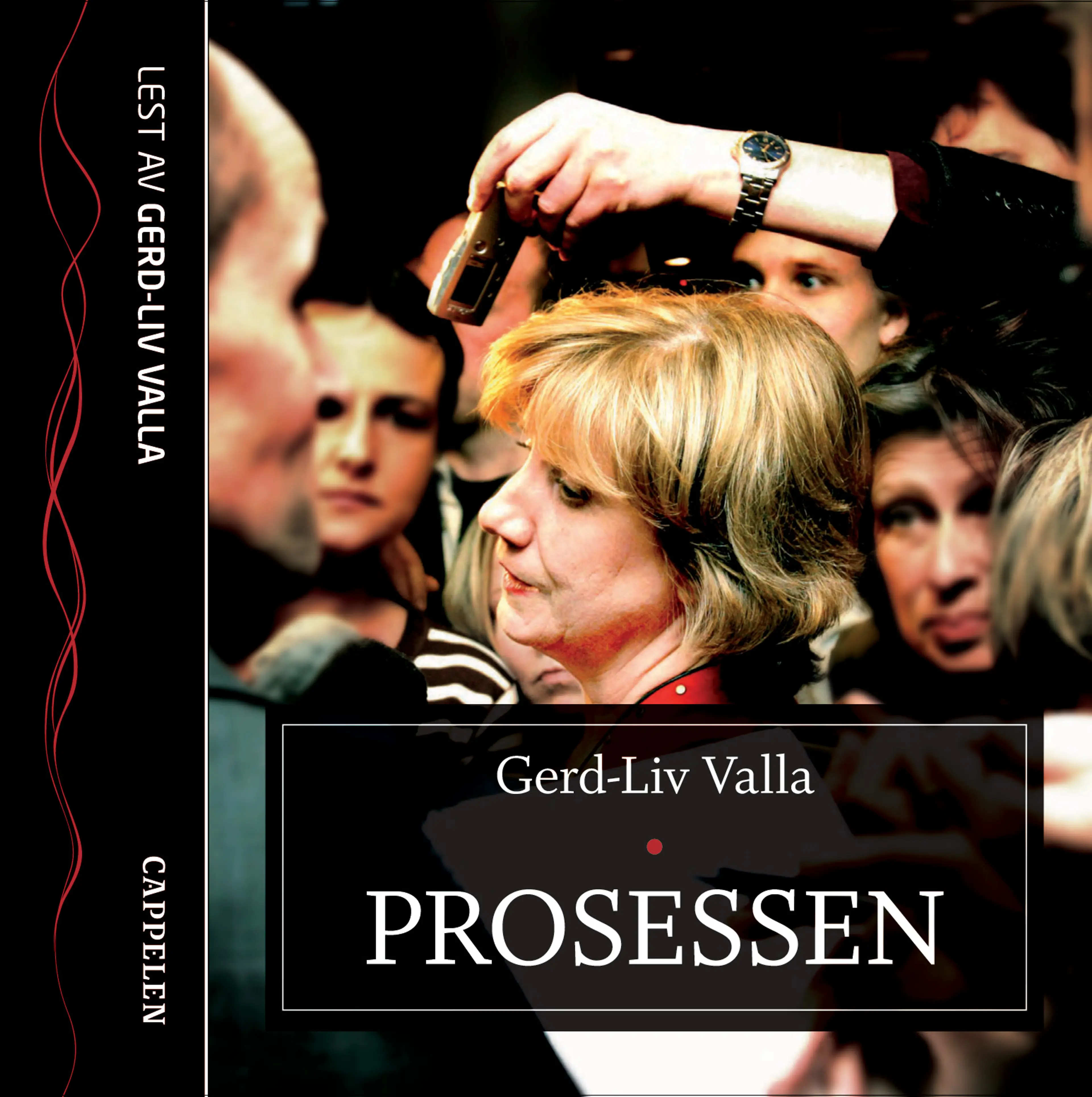 Omslag Prosessen av Gerd-Liv Valla (Lydbok)